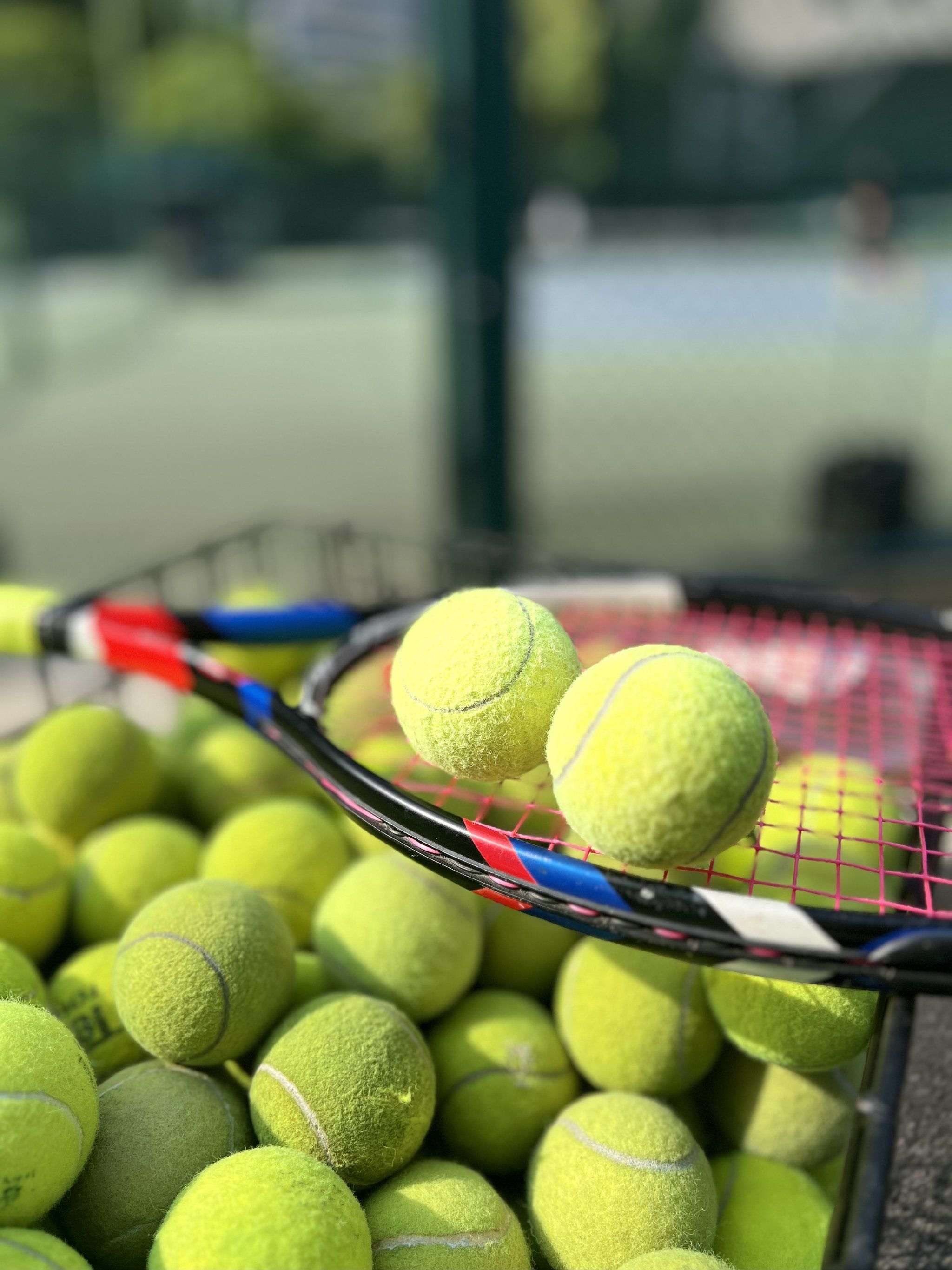 而投手群的 而投手群的