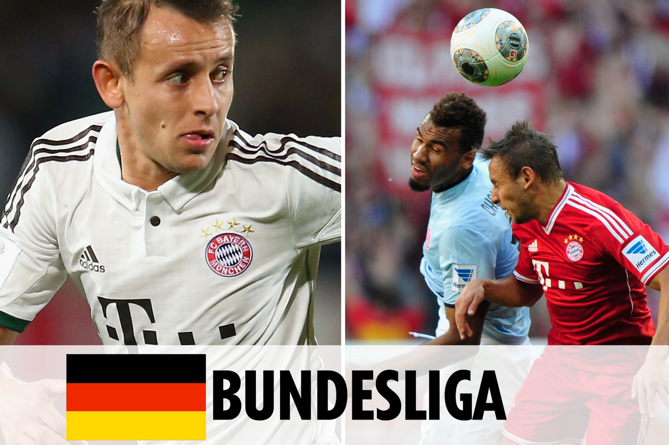 们共同的家 们共同的家