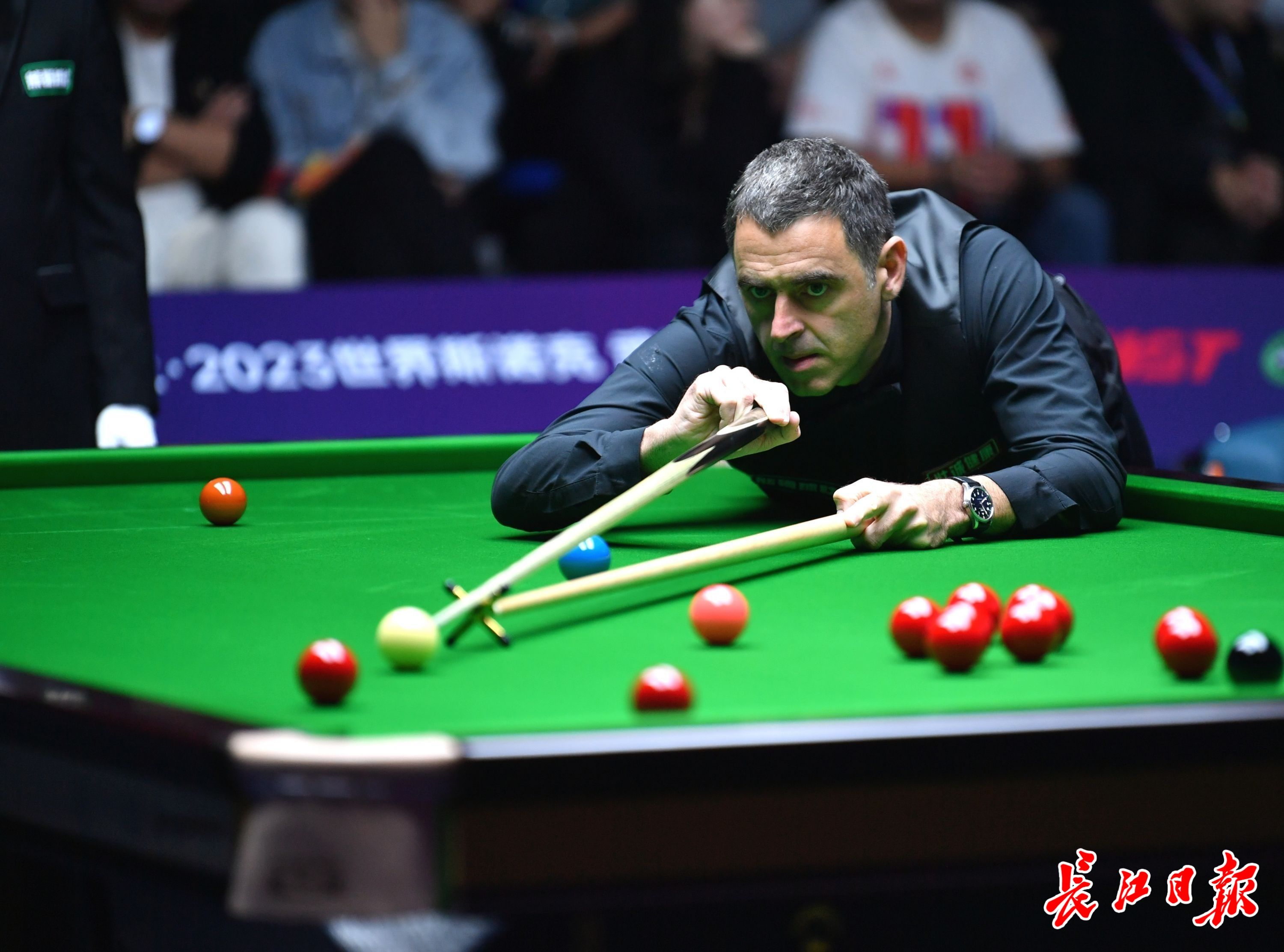 不局限于一 不局限于一