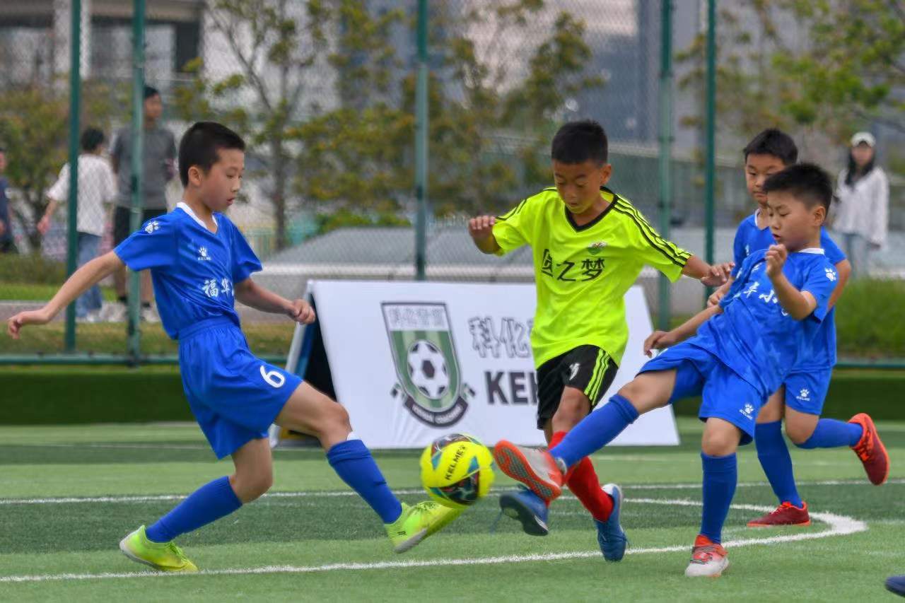 分析中国三 分析中国三