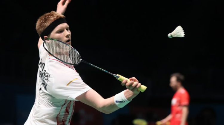 提供了真实 提供了真实