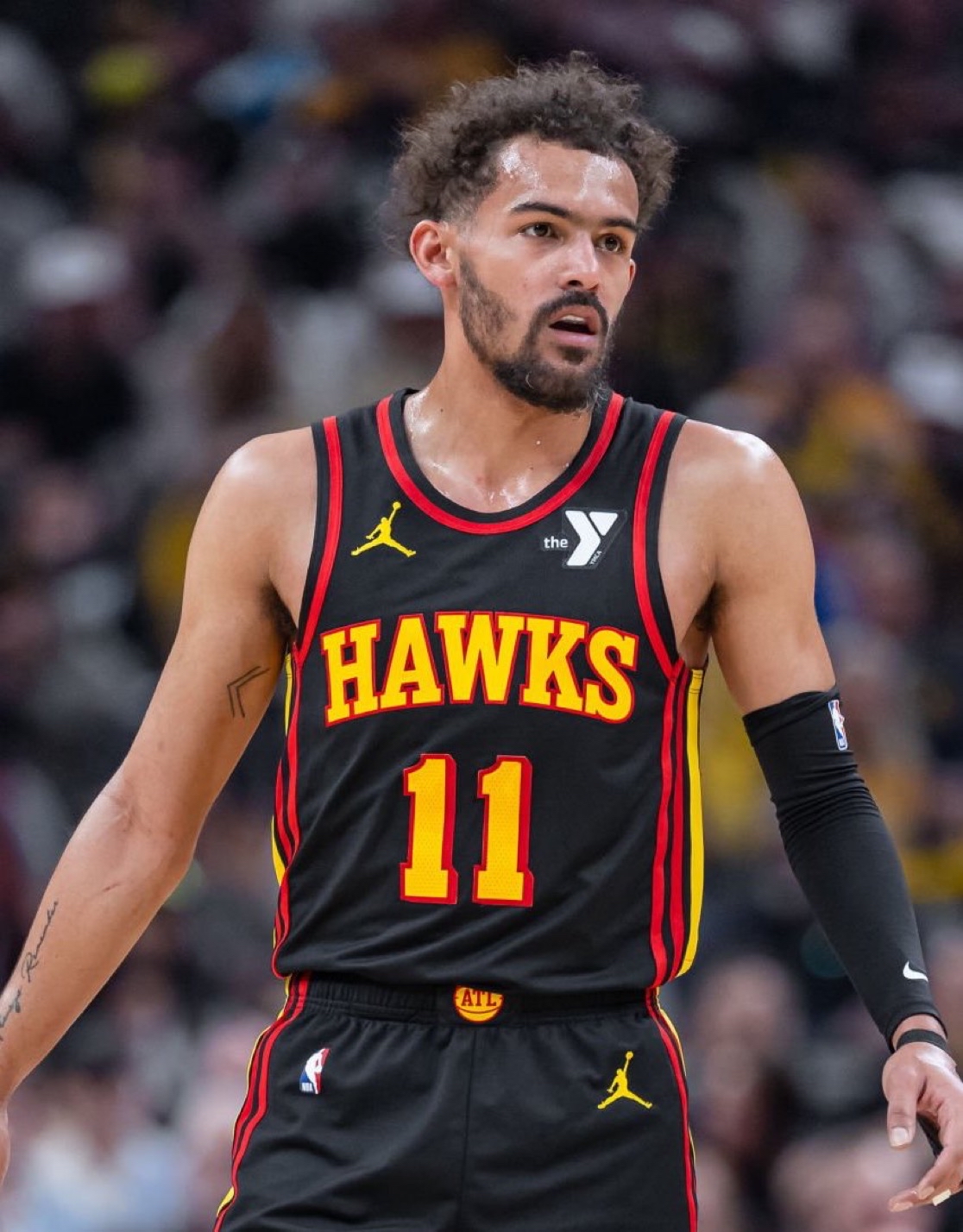 绿茵传承 绿茵传承