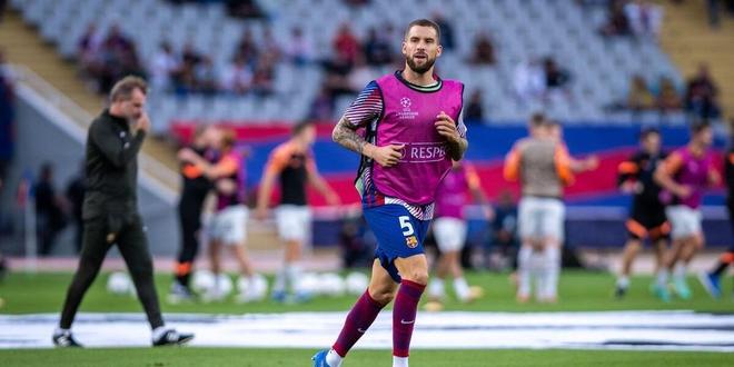 森林狼在戈 森林狼在戈