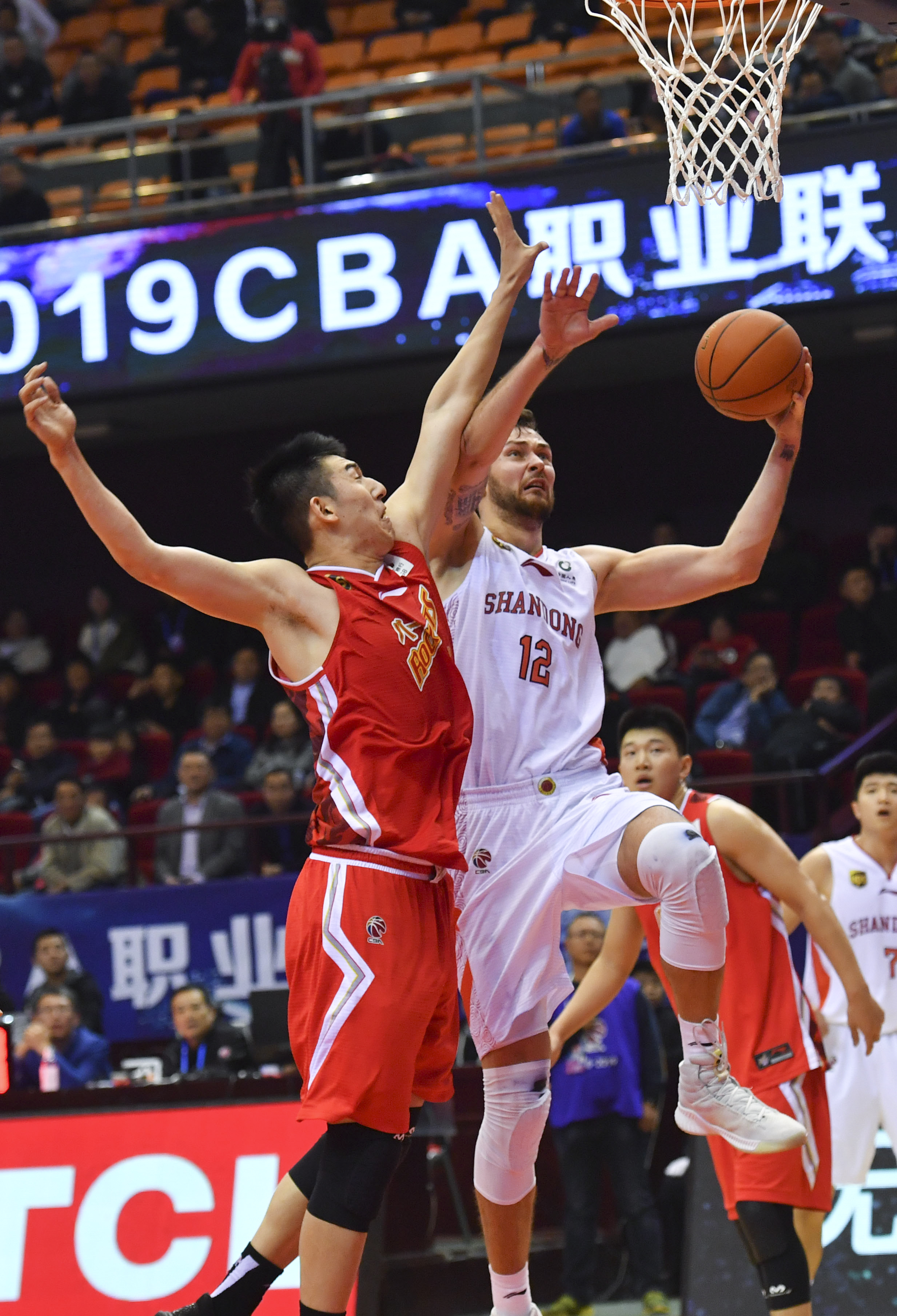 鸟队而言 鸟队而言